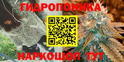 2c-b Кинель