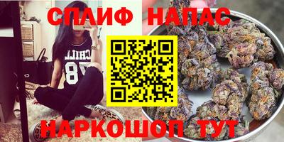 крисы Кимры