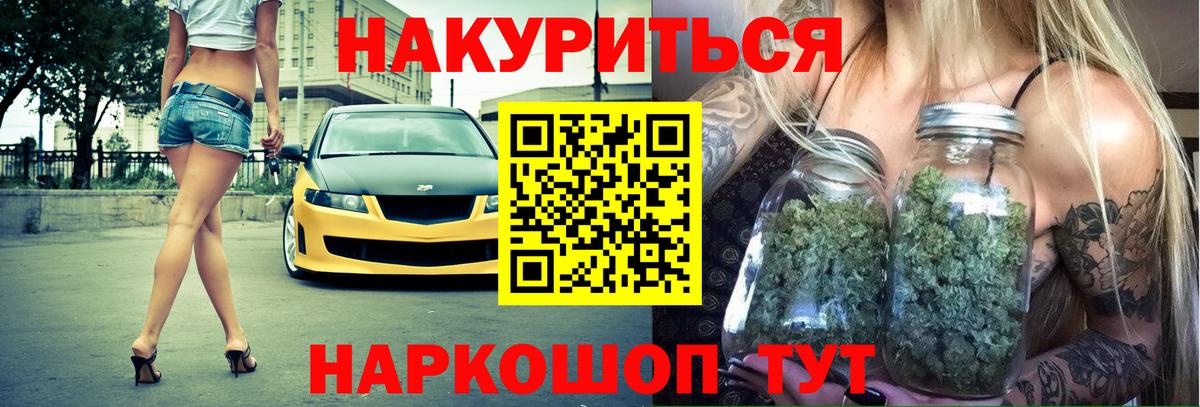 Конопля сатива Конаково